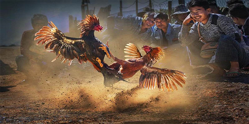 vin7776 chơi bắn cá đổi thưởng