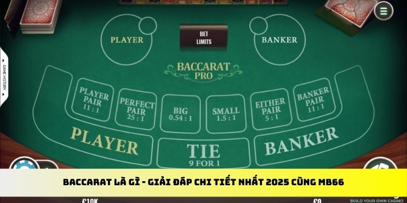 vin7776 gà chọi cu cần