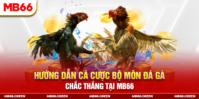 vin7776 bắn cá nổ hũ