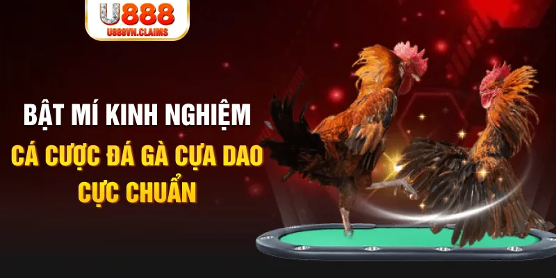 vin7776 tỷ lệ cá cược châu á là gì