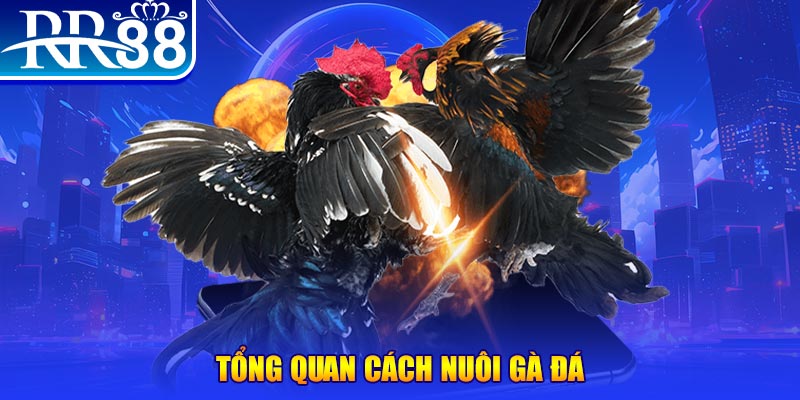 vin7776 VA Điện Tử