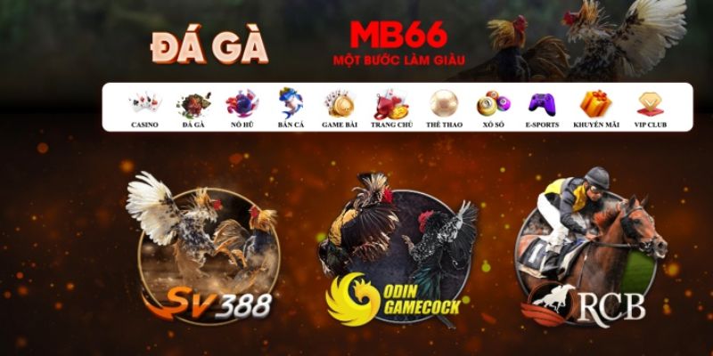 vin7776 đăng nhập poker số 1