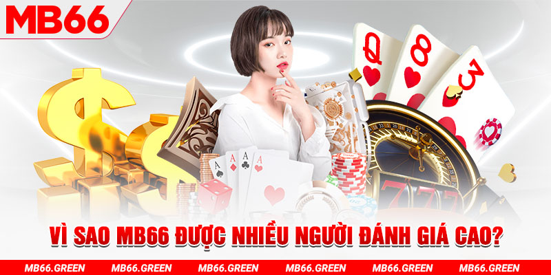 vin7776 đá gà
