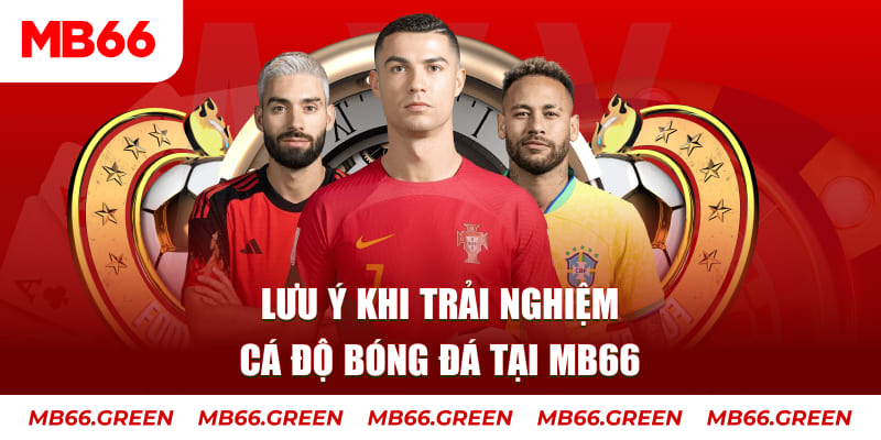vin7776 cá cược là gì