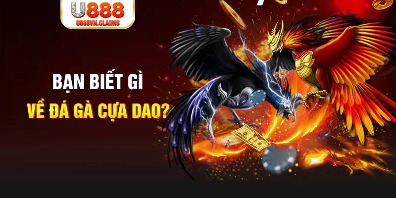 vin7776 nổ hủ là gì