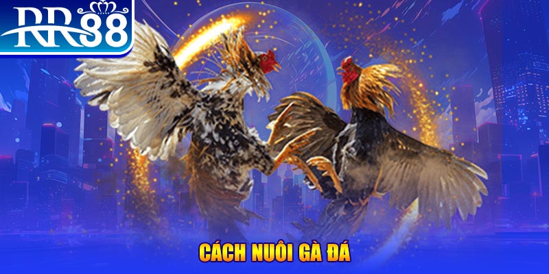 vin7776 xổ số an giang