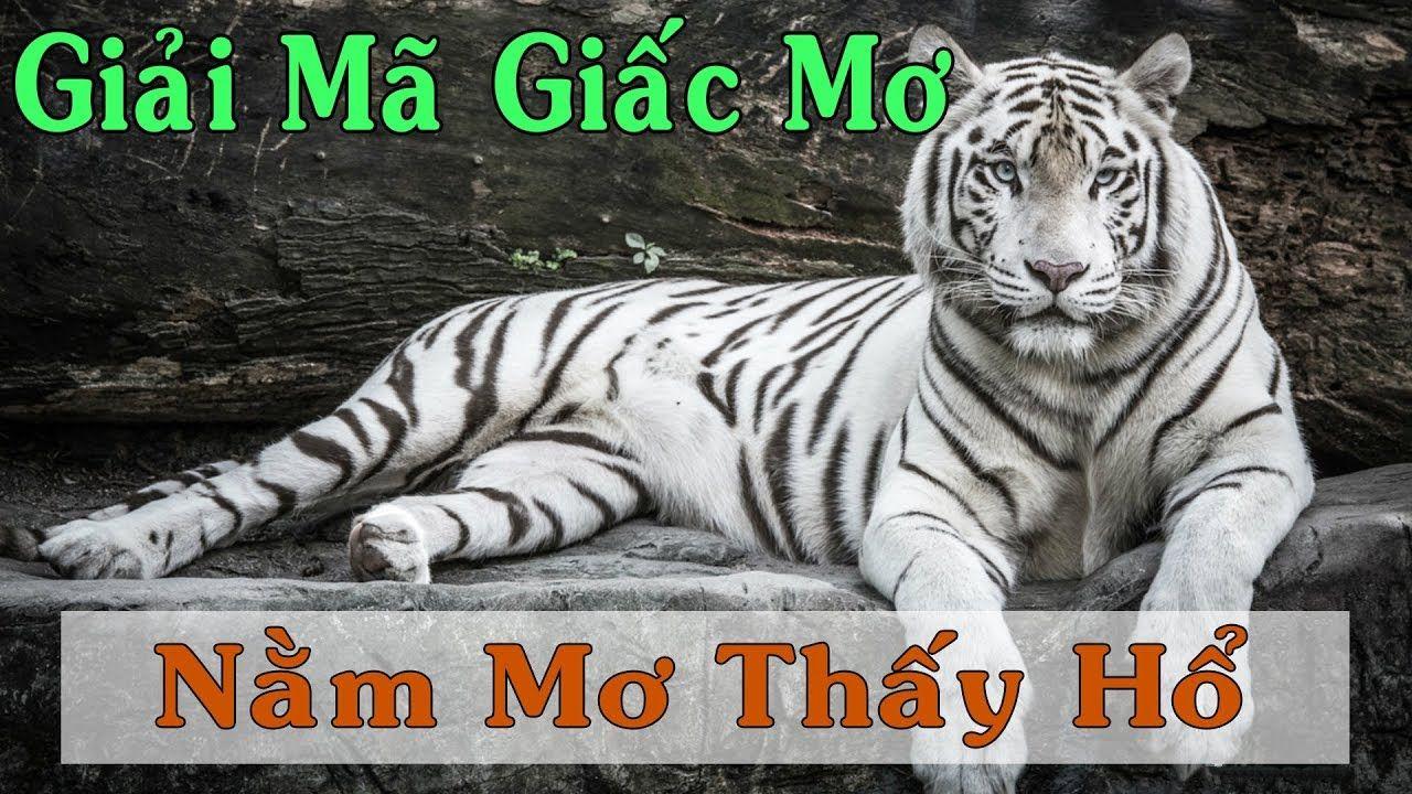 vin7776 WM Trực Tuyến