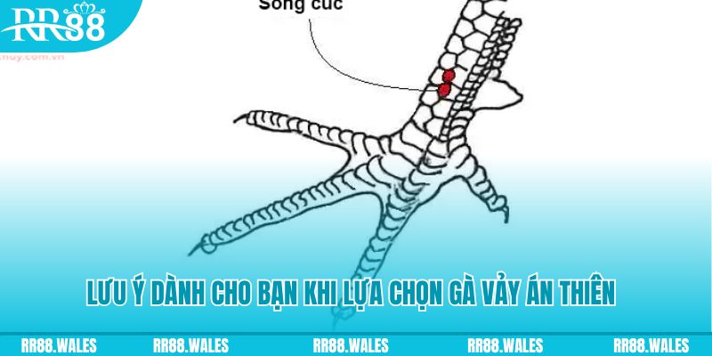 vin7776 xổ số đồng nai