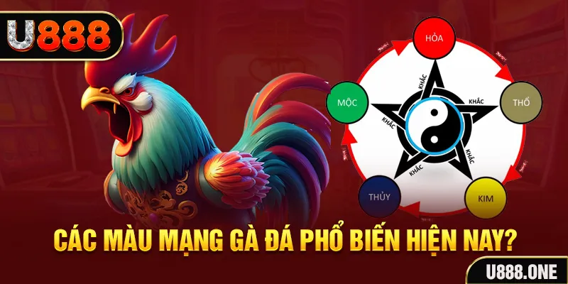 vin7776 trực tiếp đá gà 88