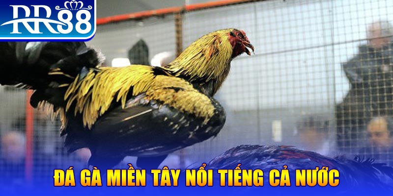 vin7776 JILI Game Bài 3d