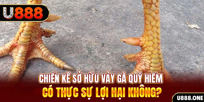 vin7776 nohu .mx nổ hủ là gì