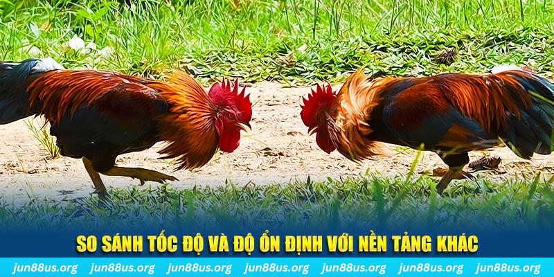 vin7776 đá gà hôm nay