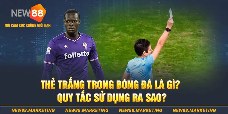 vin7776 gà chọi mộc hóa
