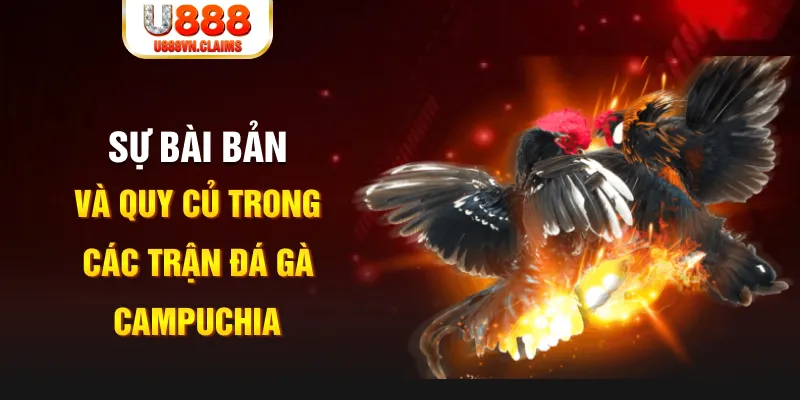 vin7776 YGR Điện Tử
