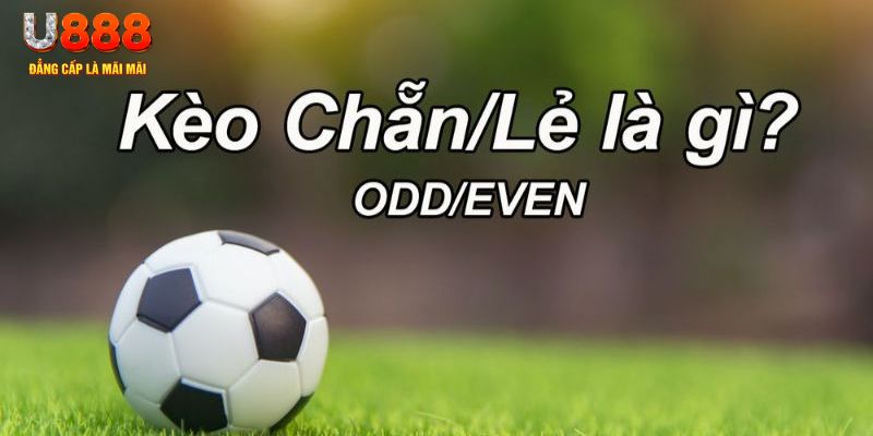 vin7776 đăng nhập poker hôm nay