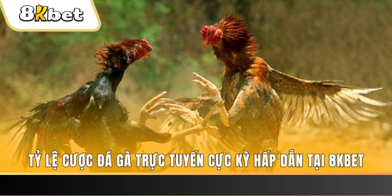 vin7776 xổ số trực tiếp miền bắc