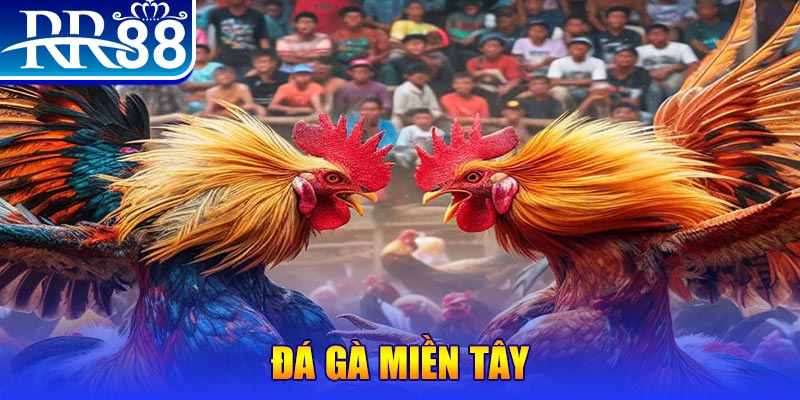 vin7776 đăng nhập nổ hũ