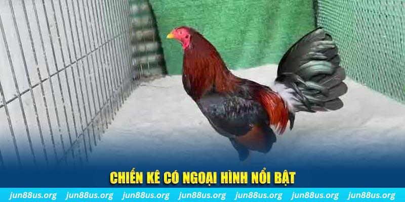 vin7776 chạy quảng cáo cho game bài bị phạt như thế nào