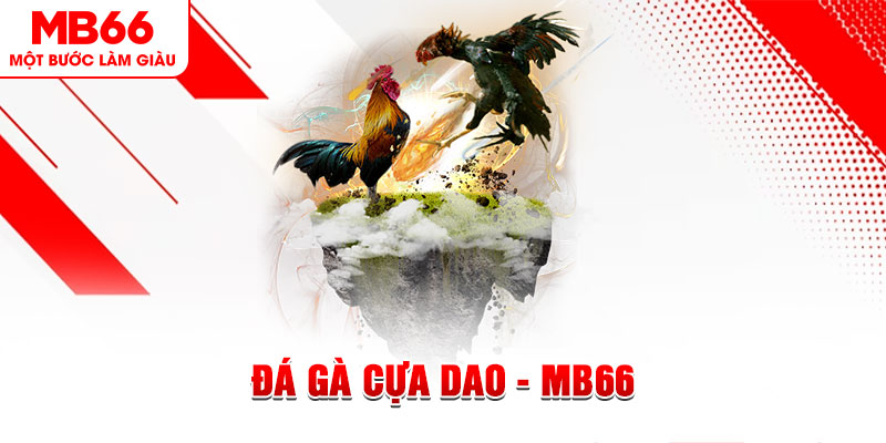 vin7776 đá gà sv388 gold